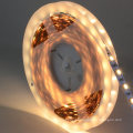 IP20 6000K 14.4W/M 24V SMD5050 LED Strip light